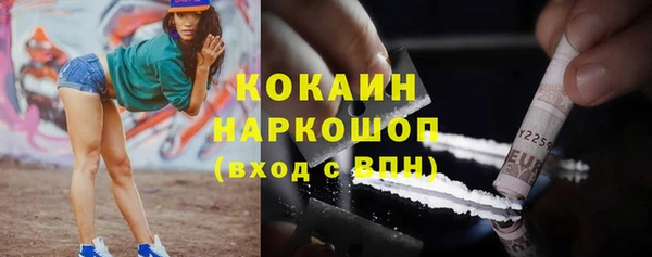 мдпв Лагань