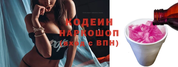 мдпв Лагань