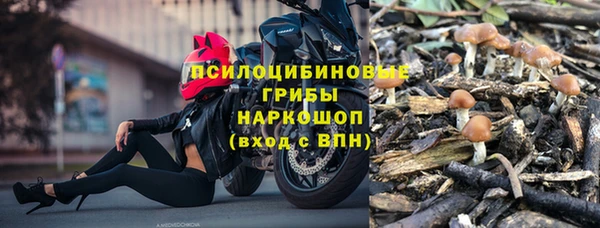 спайс Ладушкин
