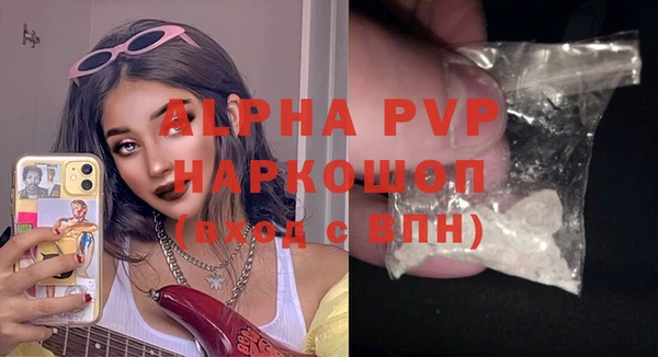спайс Ладушкин