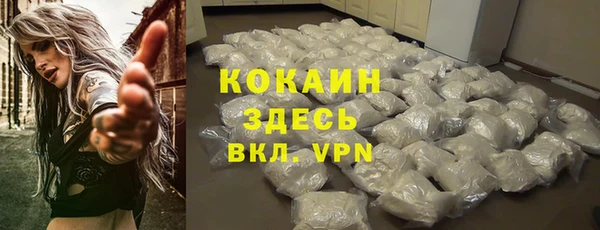 мдпв Лагань