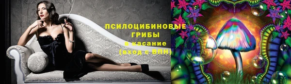 мдпв Лагань