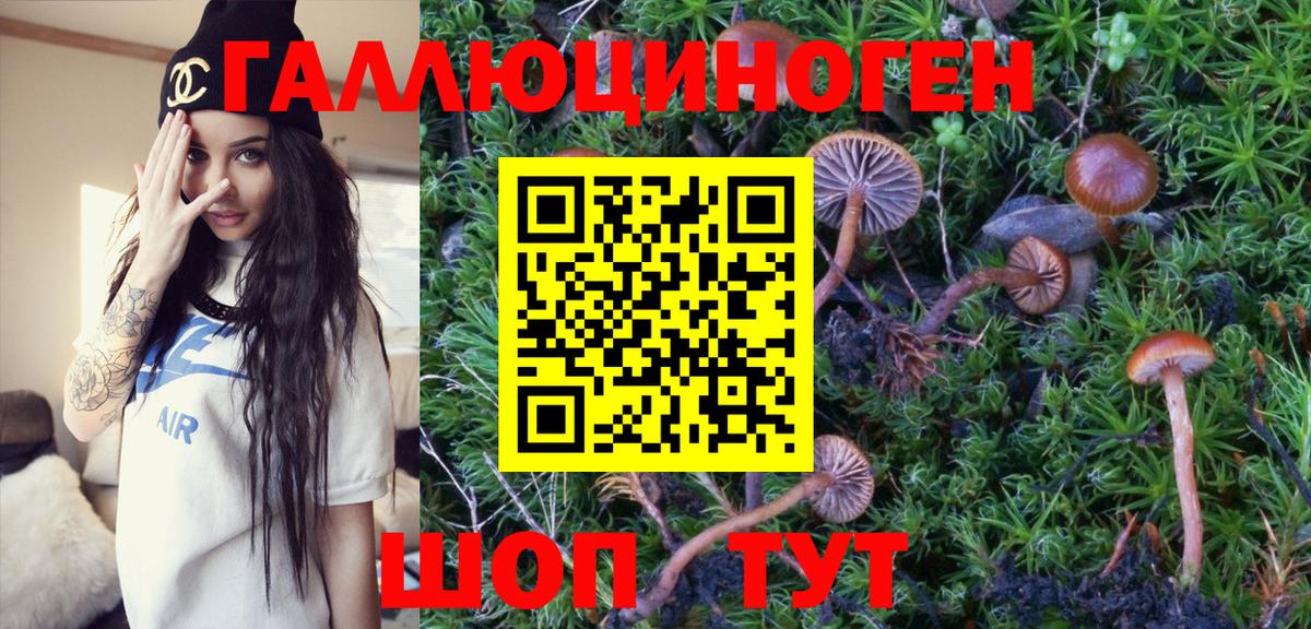 Псилоцибиновые грибы MAGIC MUSHROOMS  Десногорск 