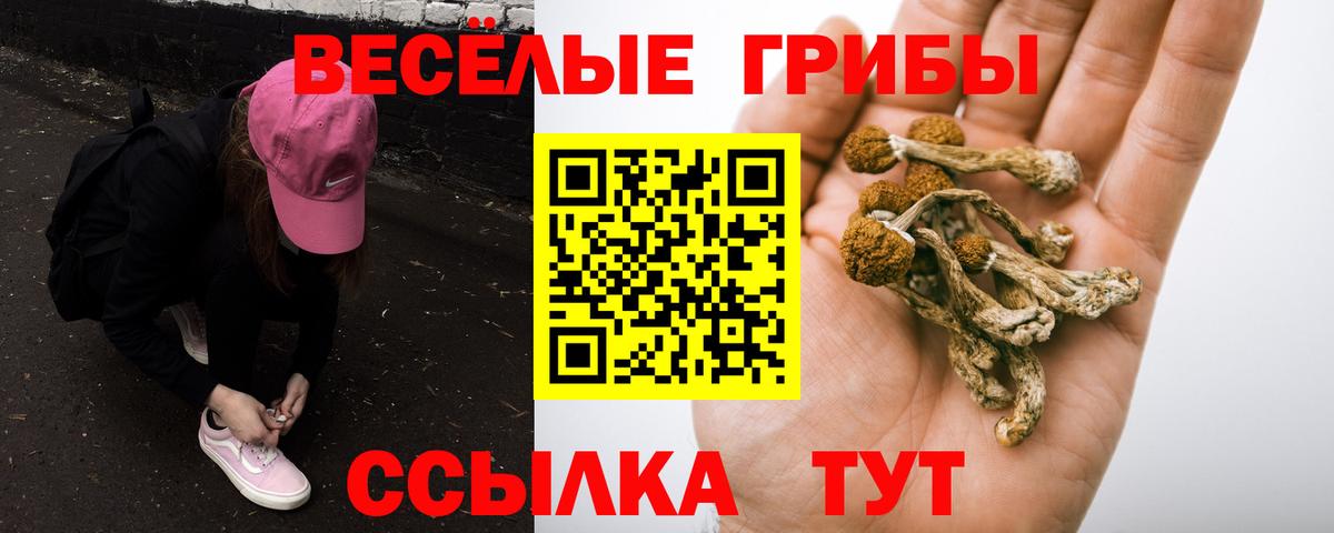 купить  сайты  Псилоцибиновые грибы Psilocybe  Вход с VPN  Десногорск  Галлюциногенные грибы Psilocybe 