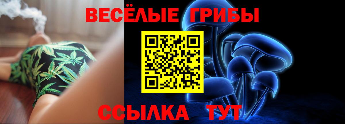 Галлюциногенные грибы Cubensis Десногорск